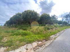 Terreno Rstico T0 - Salir de Matos, Caldas da Rainha, Leiria - Miniatura: 4/4