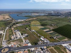 Terreno Rstico T0 - Faro, Faro, Faro (Algarve) - Miniatura: 7/7