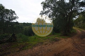 Quinta T0 - Amoreira, �bidos, Leiria - Miniatura: 1/42