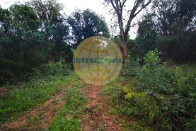 Quinta T0 - Amoreira, �bidos, Leiria - Miniatura: 5/42