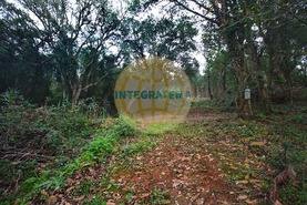 Quinta T0 - Amoreira, �bidos, Leiria - Miniatura: 6/42