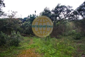 Quinta T0 - Amoreira, �bidos, Leiria - Miniatura: 7/42