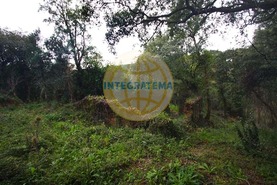 Quinta T0 - Amoreira, �bidos, Leiria - Miniatura: 8/42