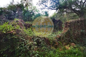 Quinta T0 - Amoreira, �bidos, Leiria - Miniatura: 9/42