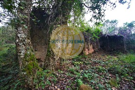 Quinta T0 - Amoreira, �bidos, Leiria - Miniatura: 10/42