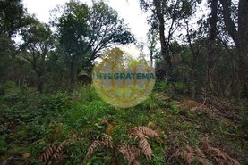 Quinta T0 - Amoreira, �bidos, Leiria - Miniatura: 11/42