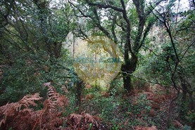 Quinta T0 - Amoreira, �bidos, Leiria - Miniatura: 12/42