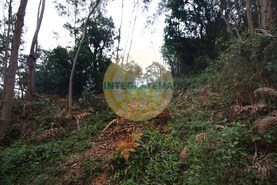 Quinta T0 - Amoreira, �bidos, Leiria - Miniatura: 13/42