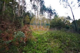 Quinta T0 - Amoreira, �bidos, Leiria - Miniatura: 15/42