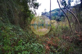 Quinta T0 - Amoreira, �bidos, Leiria - Miniatura: 16/42