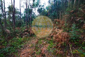 Quinta T0 - Amoreira, �bidos, Leiria - Miniatura: 18/42