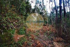 Quinta T0 - Amoreira, �bidos, Leiria - Miniatura: 19/42