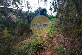 Quinta T0 - Amoreira, �bidos, Leiria - Miniatura: 20/42