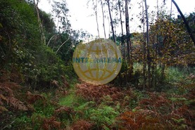 Quinta T0 - Amoreira, �bidos, Leiria - Miniatura: 21/42