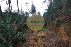 Quinta T0 - Amoreira, �bidos, Leiria - Miniatura: 22/42