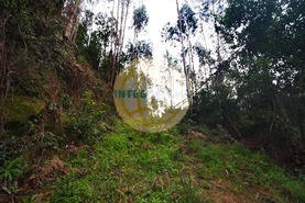 Quinta T0 - Amoreira, �bidos, Leiria - Miniatura: 23/42