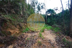 Quinta T0 - Amoreira, �bidos, Leiria - Miniatura: 26/42