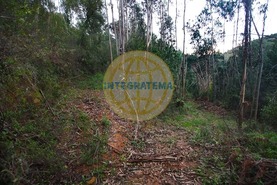 Quinta T0 - Amoreira, �bidos, Leiria - Miniatura: 27/42