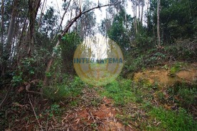 Quinta T0 - Amoreira, �bidos, Leiria - Miniatura: 28/42