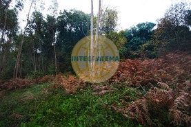 Quinta T0 - Amoreira, �bidos, Leiria - Miniatura: 30/42