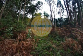 Quinta T0 - Amoreira, �bidos, Leiria - Miniatura: 31/42