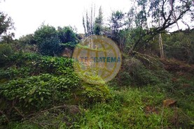 Quinta T0 - Amoreira, �bidos, Leiria - Miniatura: 32/42