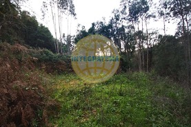 Quinta T0 - Amoreira, �bidos, Leiria - Miniatura: 33/42