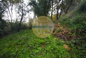 Quinta T0 - Amoreira, �bidos, Leiria - Miniatura: 34/42