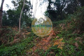 Quinta T0 - Amoreira, �bidos, Leiria - Miniatura: 35/42