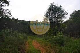 Quinta T0 - Amoreira, �bidos, Leiria - Miniatura: 36/42