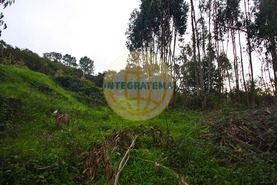 Quinta T0 - Amoreira, �bidos, Leiria - Miniatura: 37/42