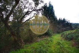 Quinta T0 - Amoreira, �bidos, Leiria - Miniatura: 40/42