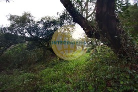 Quinta T0 - Amoreira, �bidos, Leiria - Miniatura: 41/42