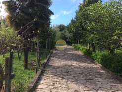 Quinta T4 - Azoia de Cima, Santarm, Santarm - Miniatura: 2/17