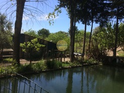 Quinta T4 - Azoia de Cima, Santarm, Santarm - Miniatura: 4/17
