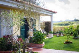 Moradia T4 - Tornada, Caldas da Rainha, Leiria - Miniatura: 4/15