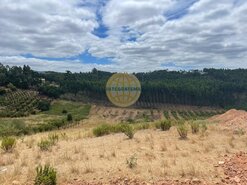 Moradia T3 - Cadaval, Cadaval, Lisboa - Miniatura: 4/5