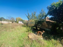 Ruina T0 - Landal, Caldas da Rainha, Leiria - Miniatura: 5/29