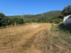 Moradia T2 - Aljubarrota, Alcobaa, Leiria - Miniatura: 16/24