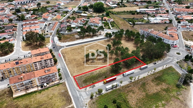 Terreno Urbano T0 - Marinha Grande, Marinha Grande, Leiria - Imagem grande