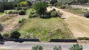 Terreno Rstico T0 - Maceira, Leiria, Leiria