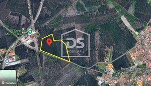 Terreno R�stico T0 - Marinha Grande, Marinha Grande, Leiria