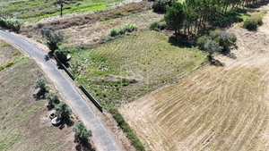 Terreno Rstico T0 - Maceira, Leiria, Leiria - Miniatura: 1/12