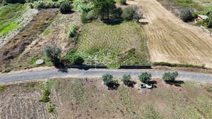 Terreno Rstico T0 - Maceira, Leiria, Leiria - Miniatura: 2/12