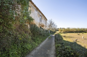 Quinta T5 - Cernache, Coimbra, Coimbra - Miniatura: 13/24