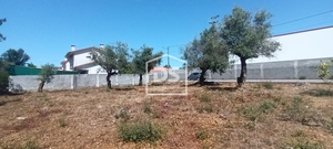 Terreno Urbano T0 - Fatima, Ourm, Santarm - Miniatura: 1/4