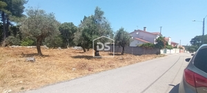 Terreno Urbano T0 - Fatima, Ourm, Santarm - Miniatura: 2/4