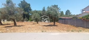 Terreno Urbano T0 - Fatima, Ourm, Santarm - Miniatura: 3/4