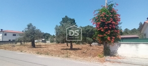 Terreno Urbano T0 - Fatima, Ourm, Santarm - Miniatura: 4/4