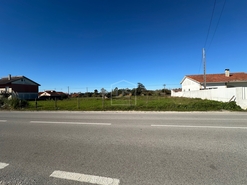 Terreno Rstico T0 - Aljubarrota, Alcobaa, Leiria - Miniatura: 2/24